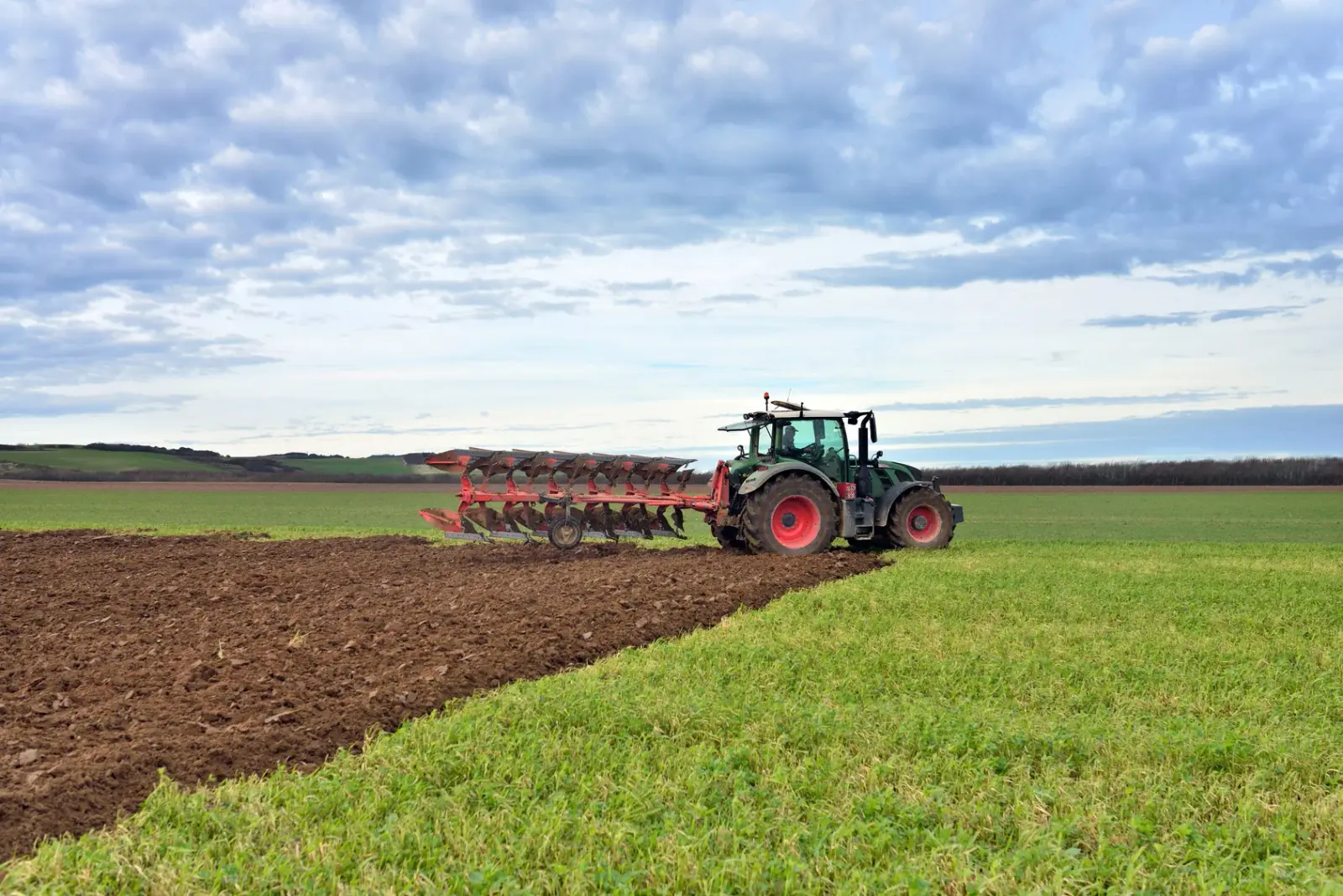 Regionale Spezialitäten