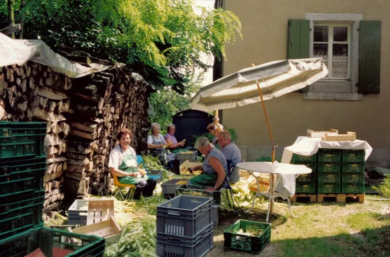 Geschichte Unicorn (Suisse) SA